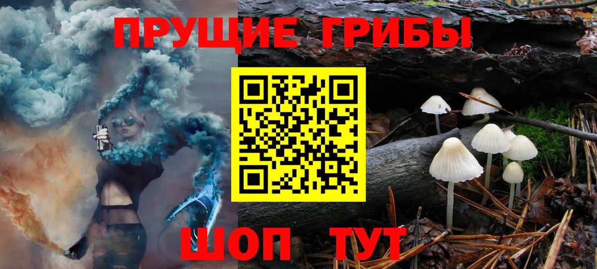 Галлюциногенные грибы Psilocybine cubensis  Вход с VPN  Псилоцибиновые грибы прущие грибы  Вологда 