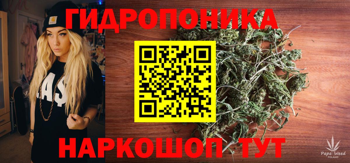 Вологда  Бошки Шишки планчик  Вход с VPN  Канабис THC 21%  Бошки Шишки индика 